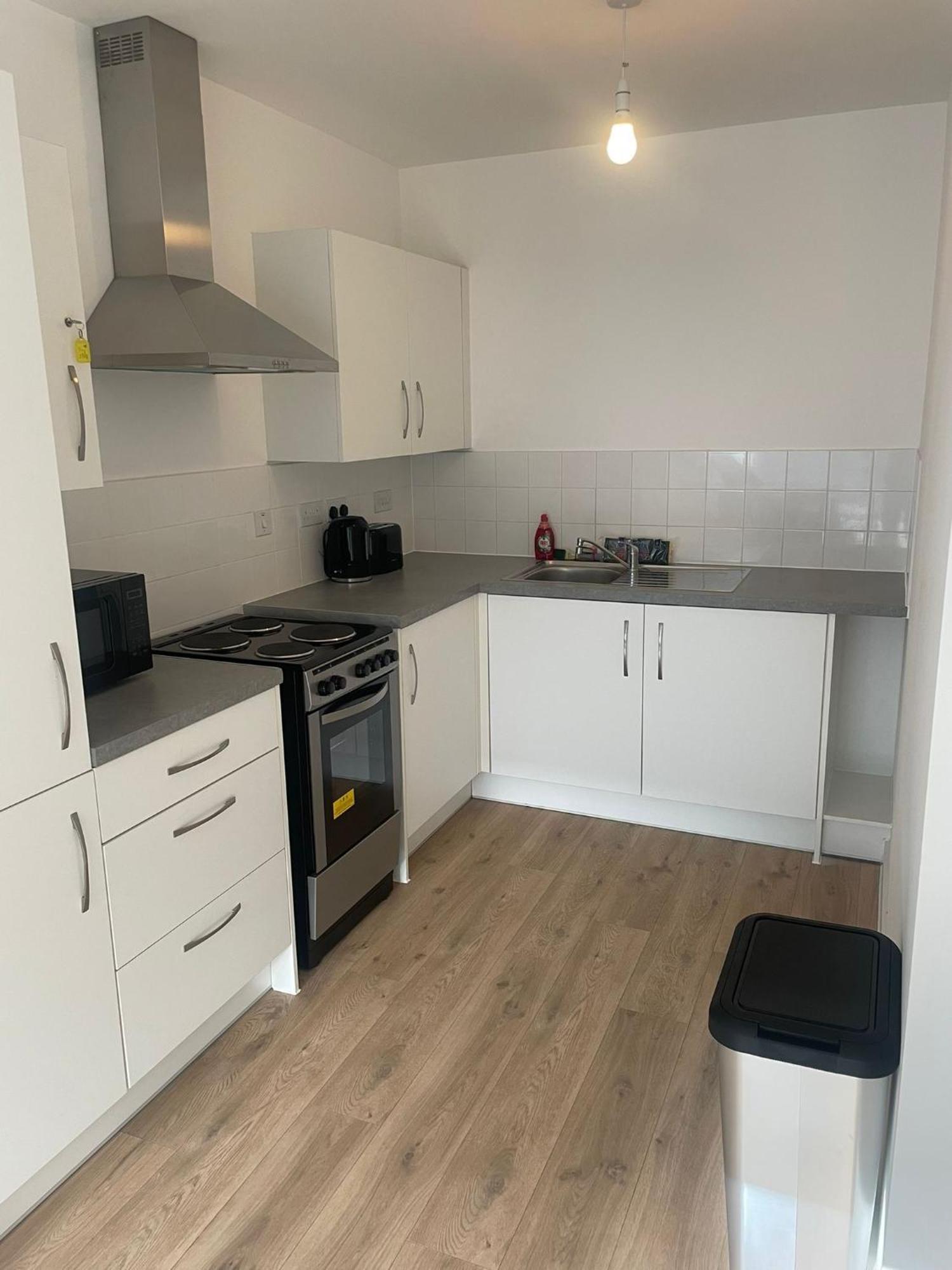 New Modern Spacious 1 Bed * Londra